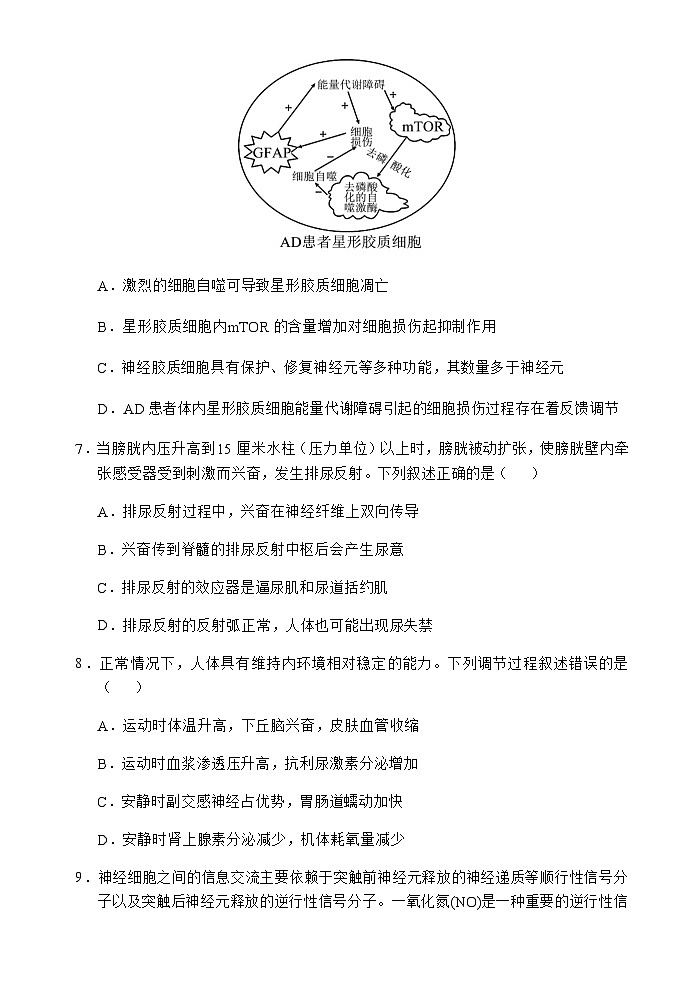 海南省文昌中学2025-2026学年高二上学期第二次月考生物试题第3页