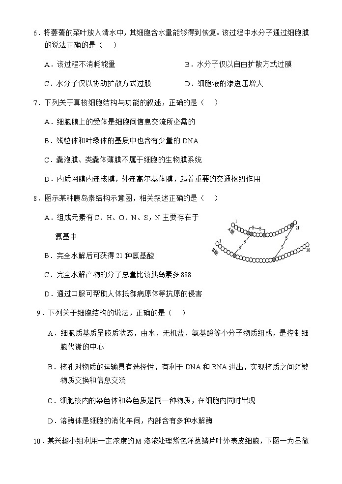 海南省文昌中学2025-2026学年高一上学期第二次月考生物试题第3页