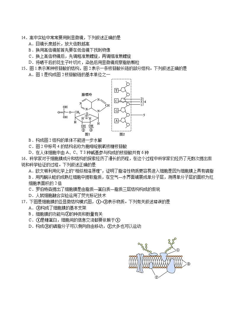 江苏省扬州市邗江区2025-2026学年高一上学期期中考试 生物 Word版含答案含答案解析第3页
