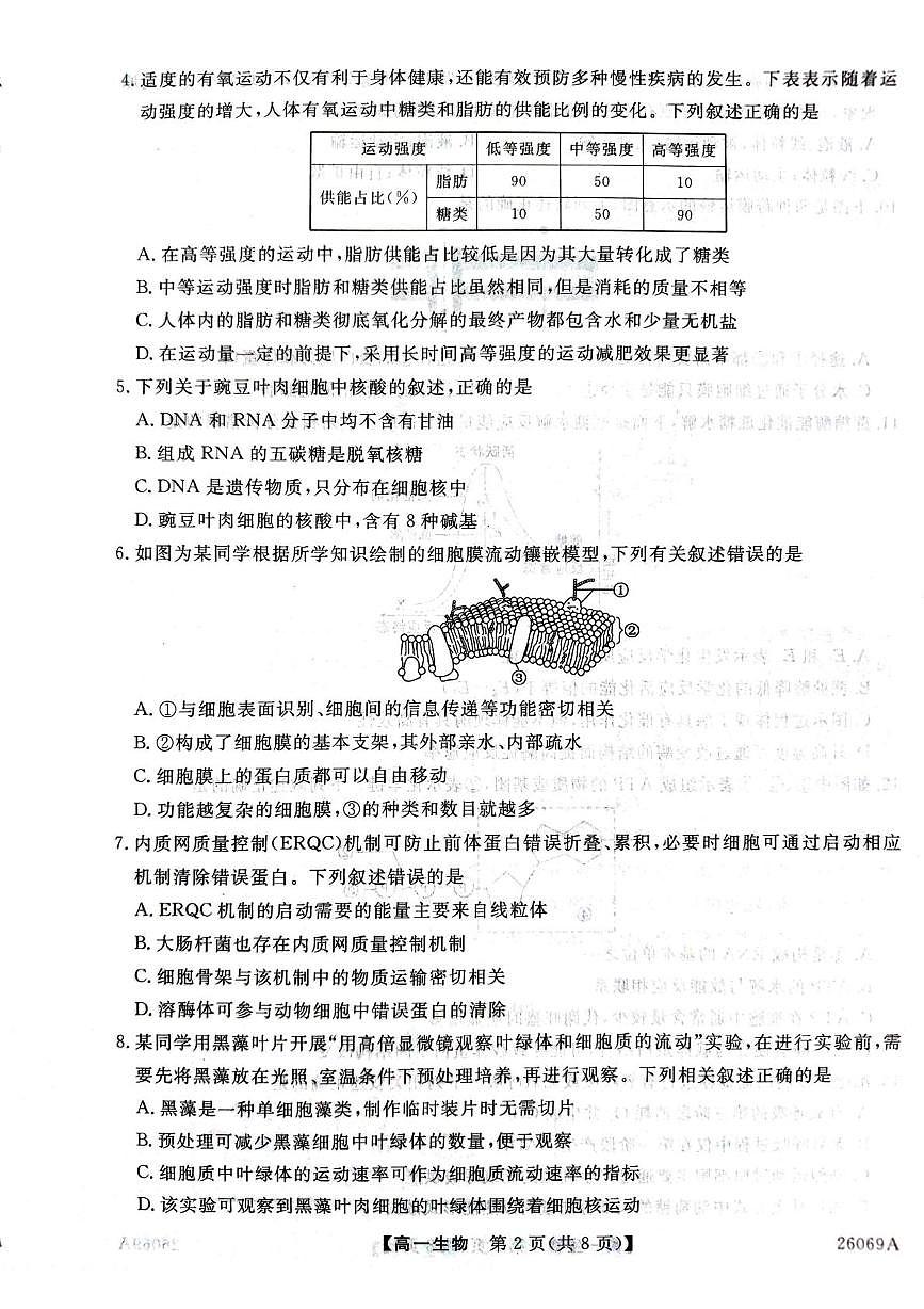河北省邯郸市磁县、武安联考2025-2026学年高一上学期12月月考生物试题第2页