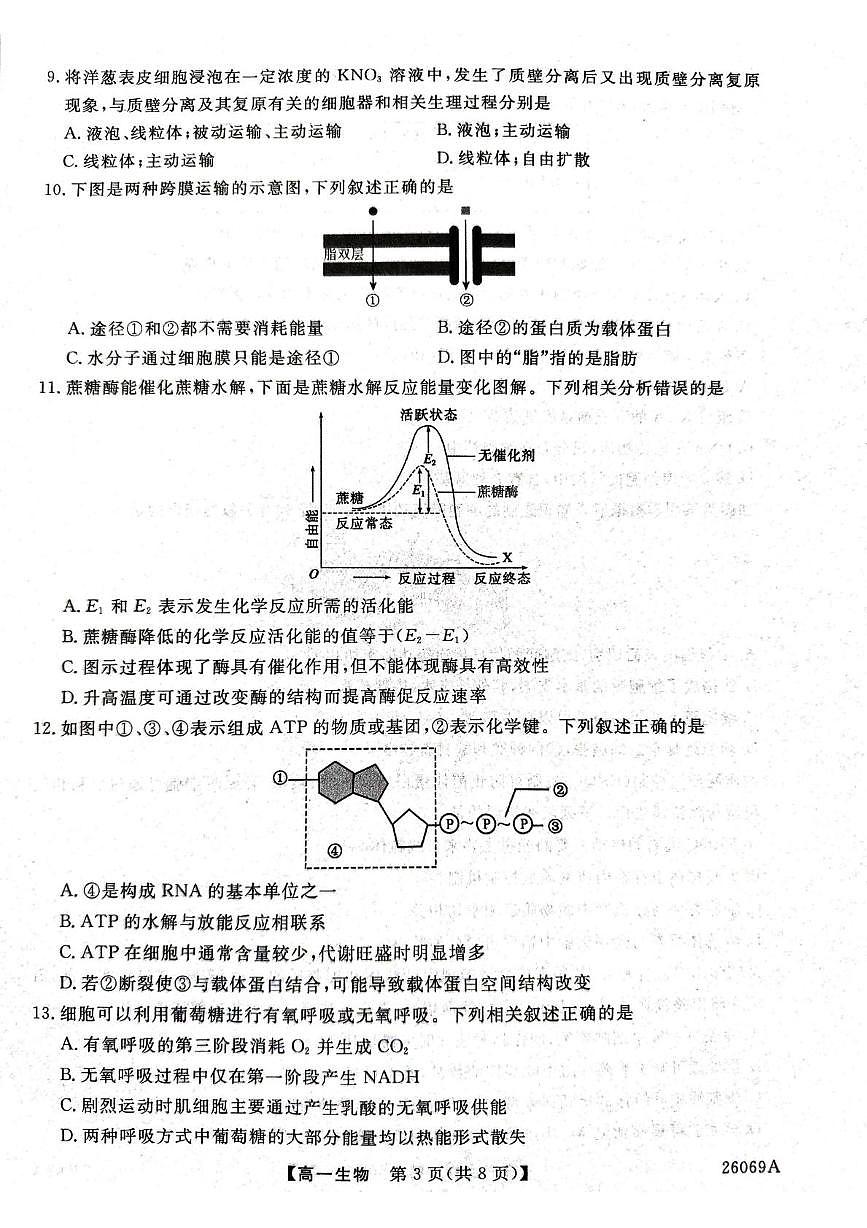 河北省邯郸市磁县、武安联考2025-2026学年高一上学期12月月考生物试题第3页