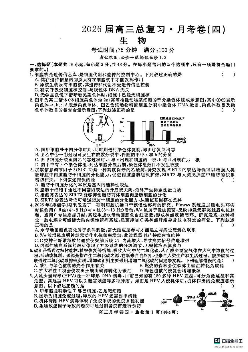 陕西省咸阳市永寿县中学2025-2026学年高三上学期第四次月考生物试题第1页