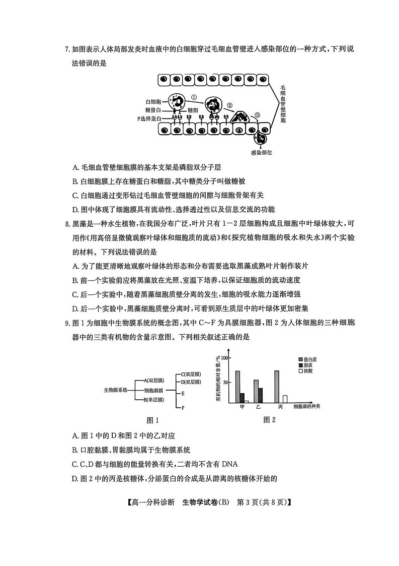 安徽省江南十校2025-2026学年高一上学期12月联考生物试卷第3页