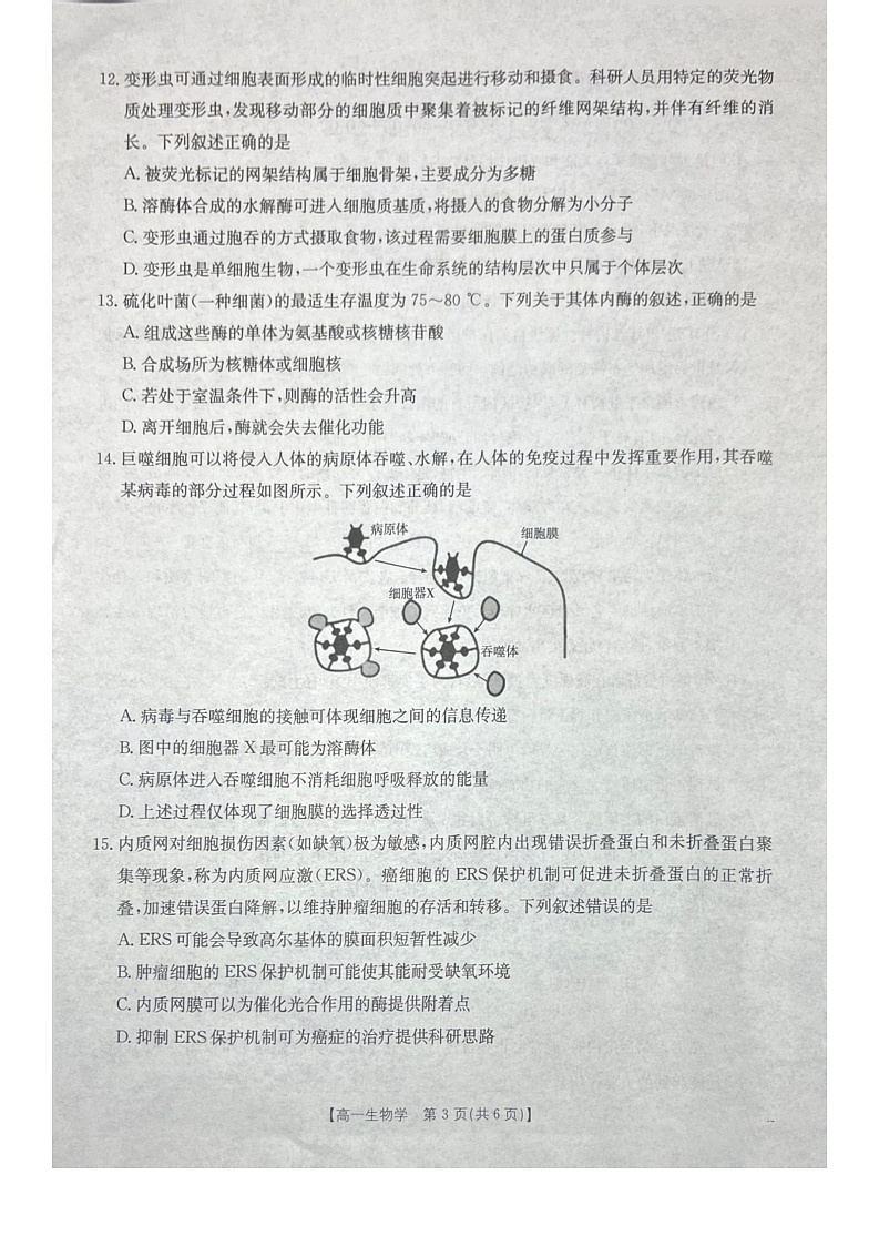 广西壮族自治区贵港市、桂林市2025-2026学年高一上学期12月月考生物试卷第3页