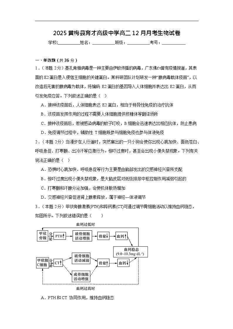 湖北省黄冈市育才高级中学2025-2026学年高二上学期12月月考生物试题第1页
