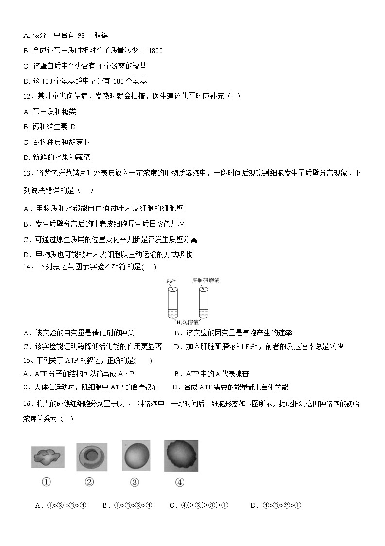 湖北省黄冈市育才高级中学2025-2026学年高一上学期12月月考生物试题第3页