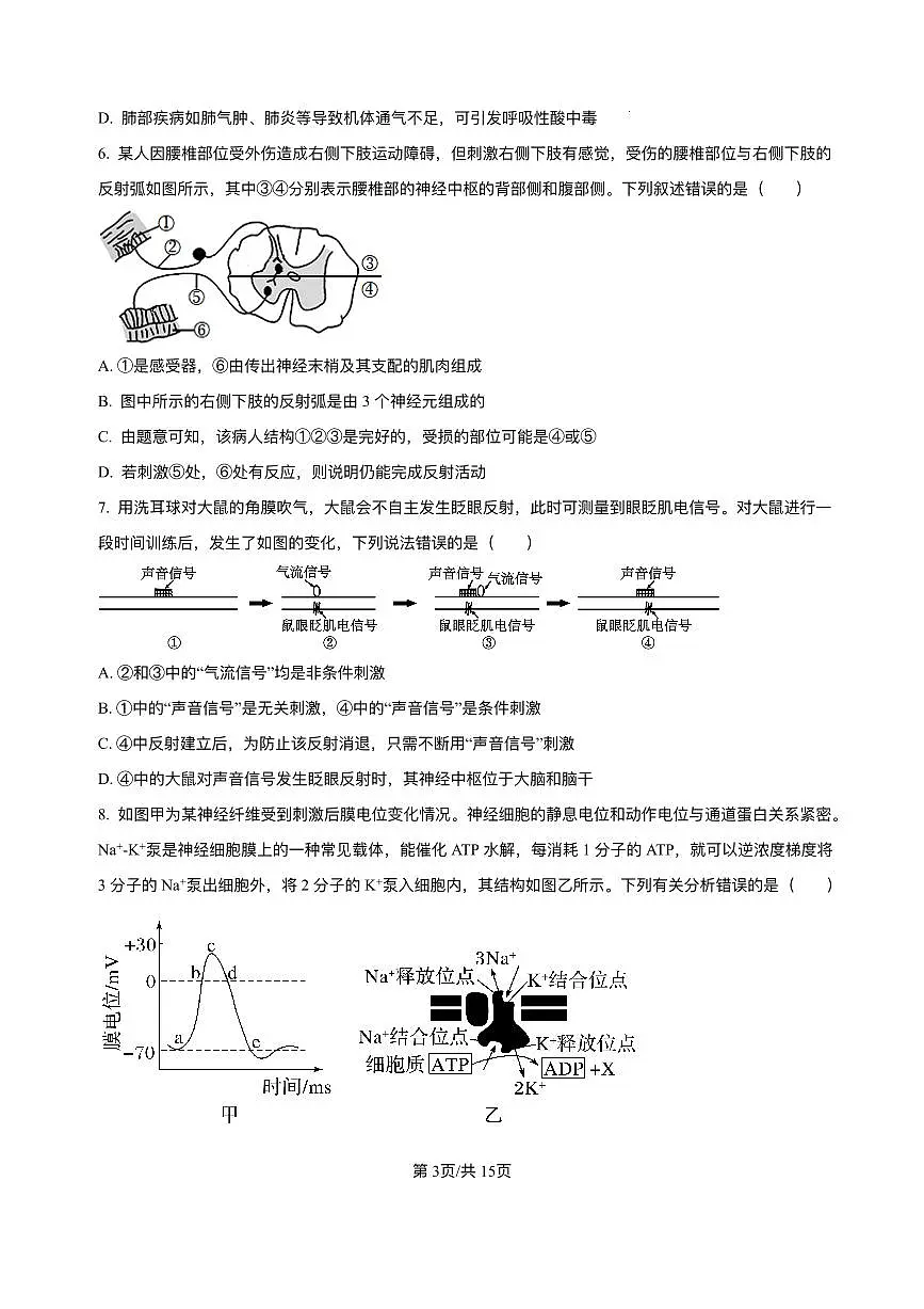 山东省济南第一中学2025-2026学年高二上学期期中考试生物试题（含答案）第3页