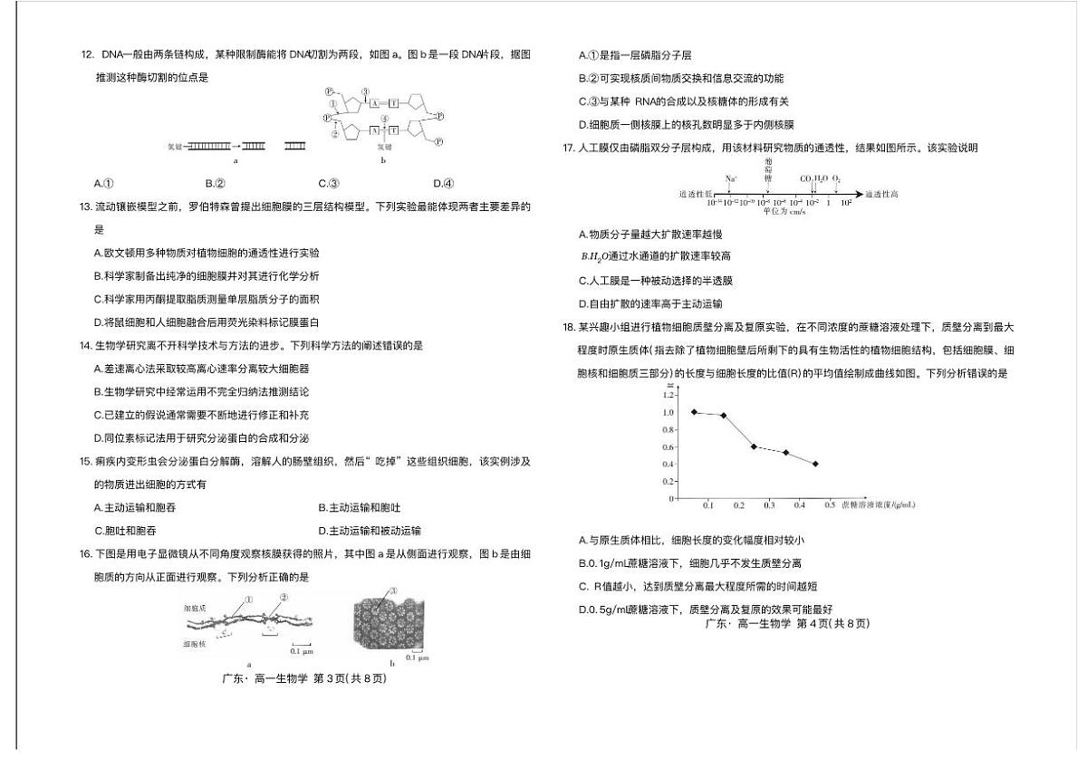 广东省领航高中联盟2025-2026学年高一上学期12月期中生物试题含答案第2页