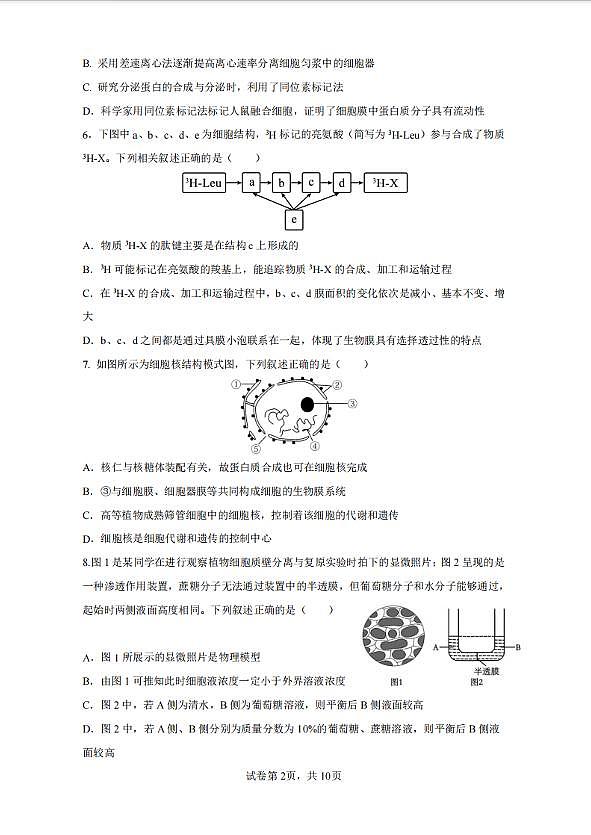 辽宁省实验中学2025-2026学年高一上学期12月月考生物试卷（含答案）第2页