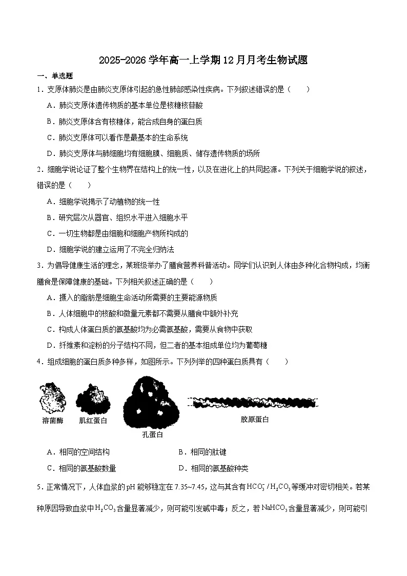 河北省部分重点高中2025-2026学年高一上学期12月联考试题 生物（含答案）第1页