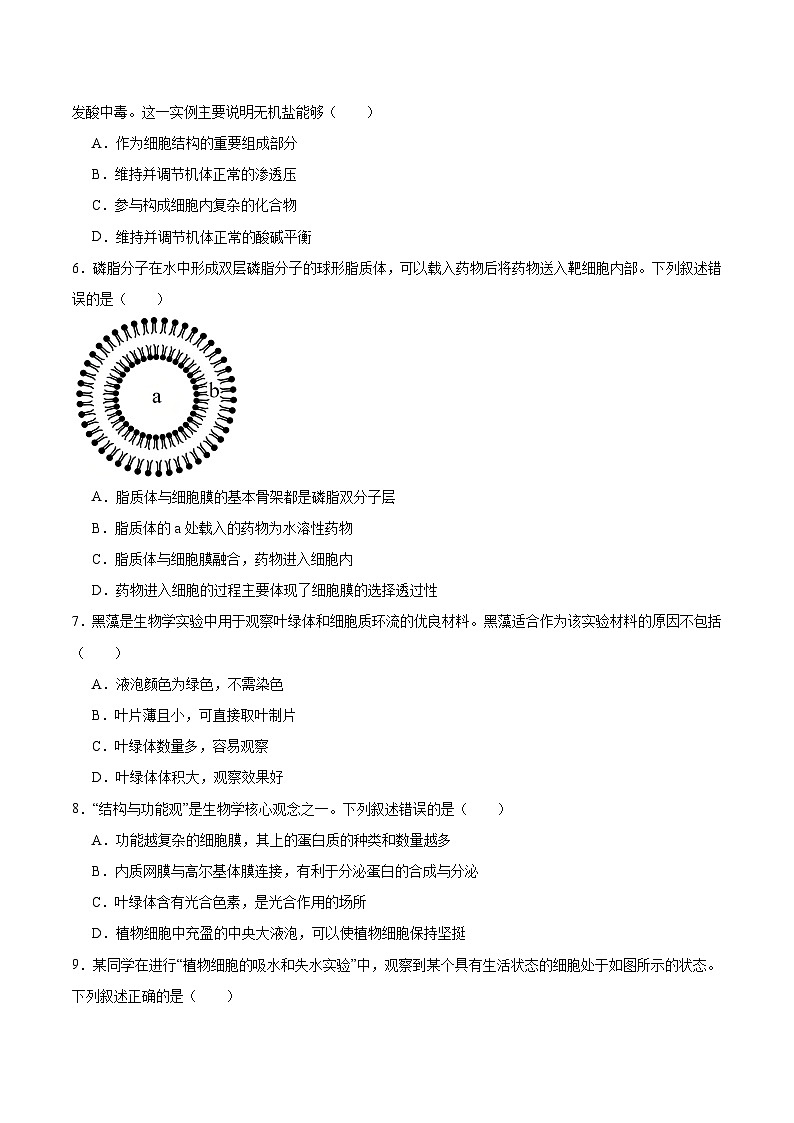 河北省部分重点高中2025-2026学年高一上学期12月联考试题 生物（含答案）第2页
