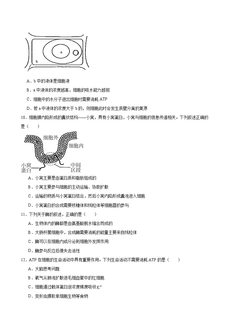 河北省部分重点高中2025-2026学年高一上学期12月联考试题 生物（含答案）第3页