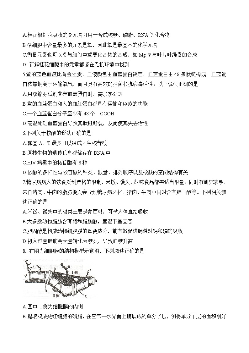 湖南省部分重点高中2025-2026学年高一上学期12月学情检测测试 生物（含答案）第2页