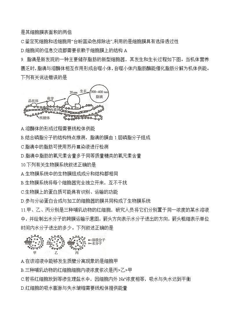 湖南省部分重点高中2025-2026学年高一上学期12月学情检测测试 生物（含答案）第3页