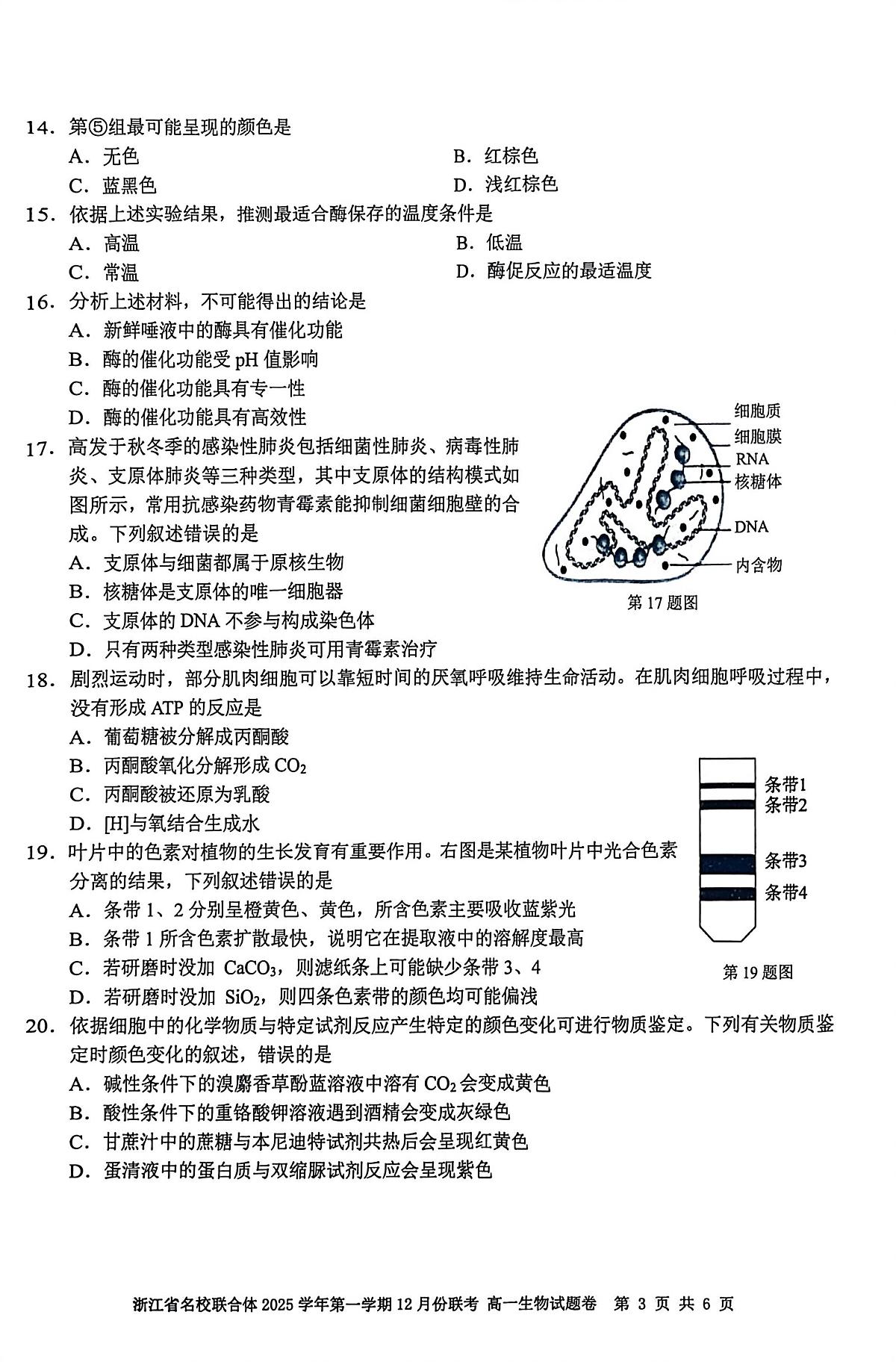 生物第3页