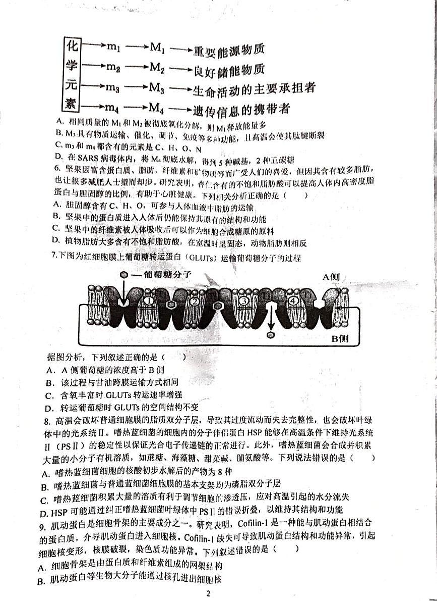 广东省揭阳市普宁市华侨中学2025-2026学年高一上学期12月月考生物试题第2页