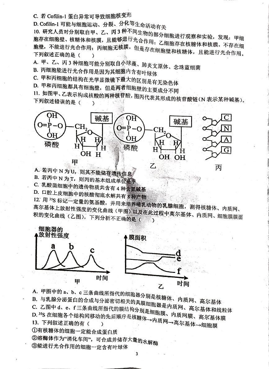 广东省揭阳市普宁市华侨中学2025-2026学年高一上学期12月月考生物试题第3页