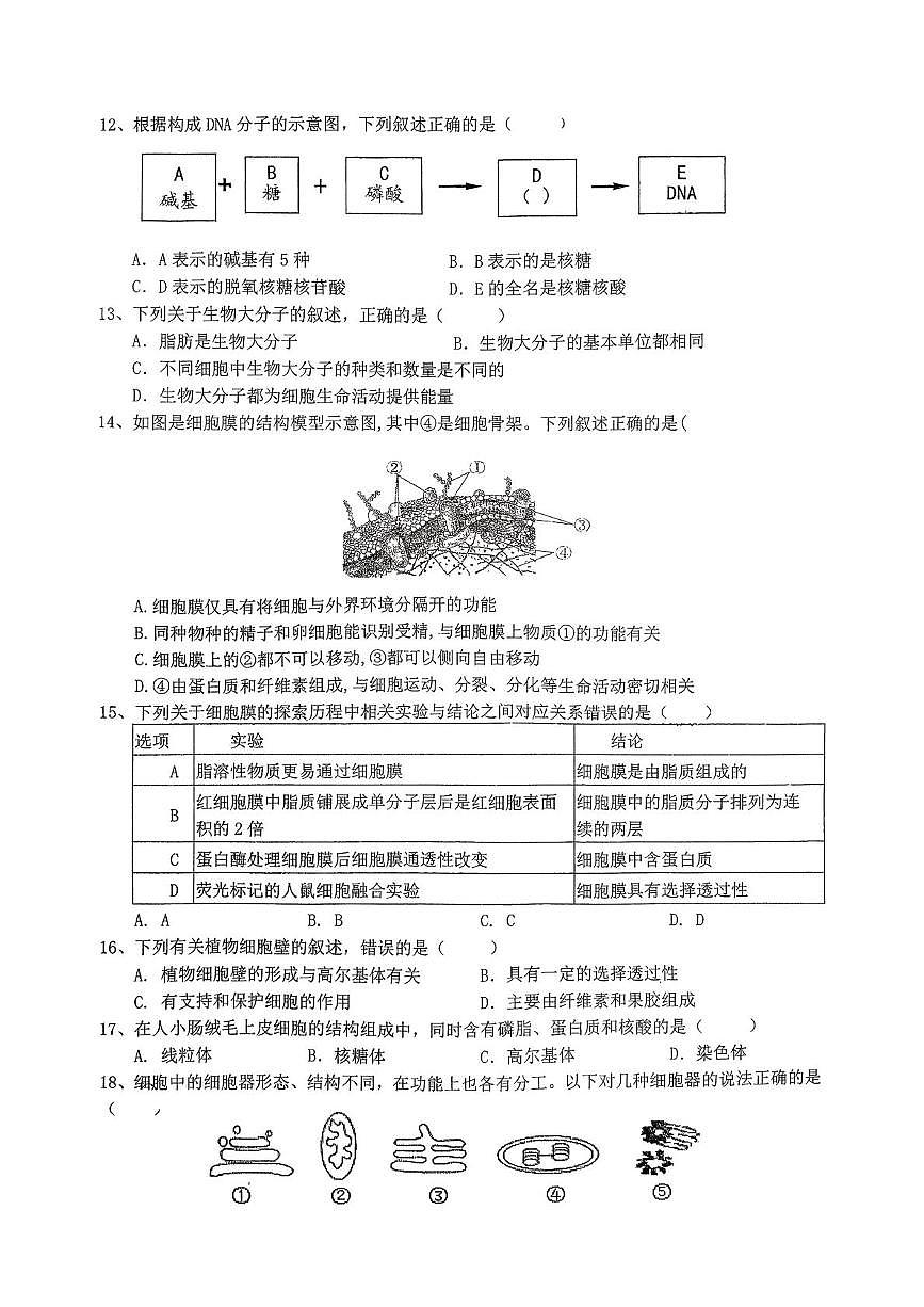 江苏省淮安七校2025-2026学年高一上学期第三次月考联考生物试题第3页