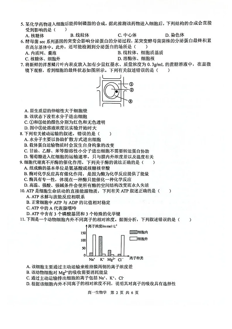 广西贵百河2025-2026学年高一上学期12月联考生物试题第2页