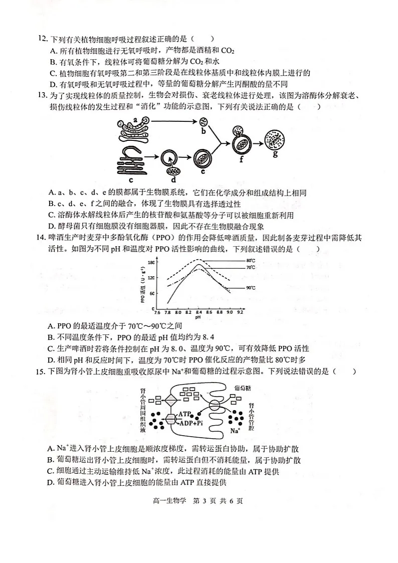 广西贵百河2025-2026学年高一上学期12月联考生物试题第3页