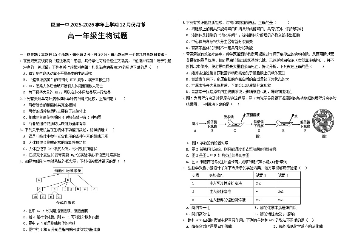 山东省德州市夏津第一中学2025-2026学年高一上学期12月月考生物试题第1页