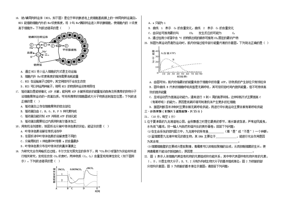 山东省德州市夏津第一中学2025-2026学年高一上学期12月月考生物试题第3页