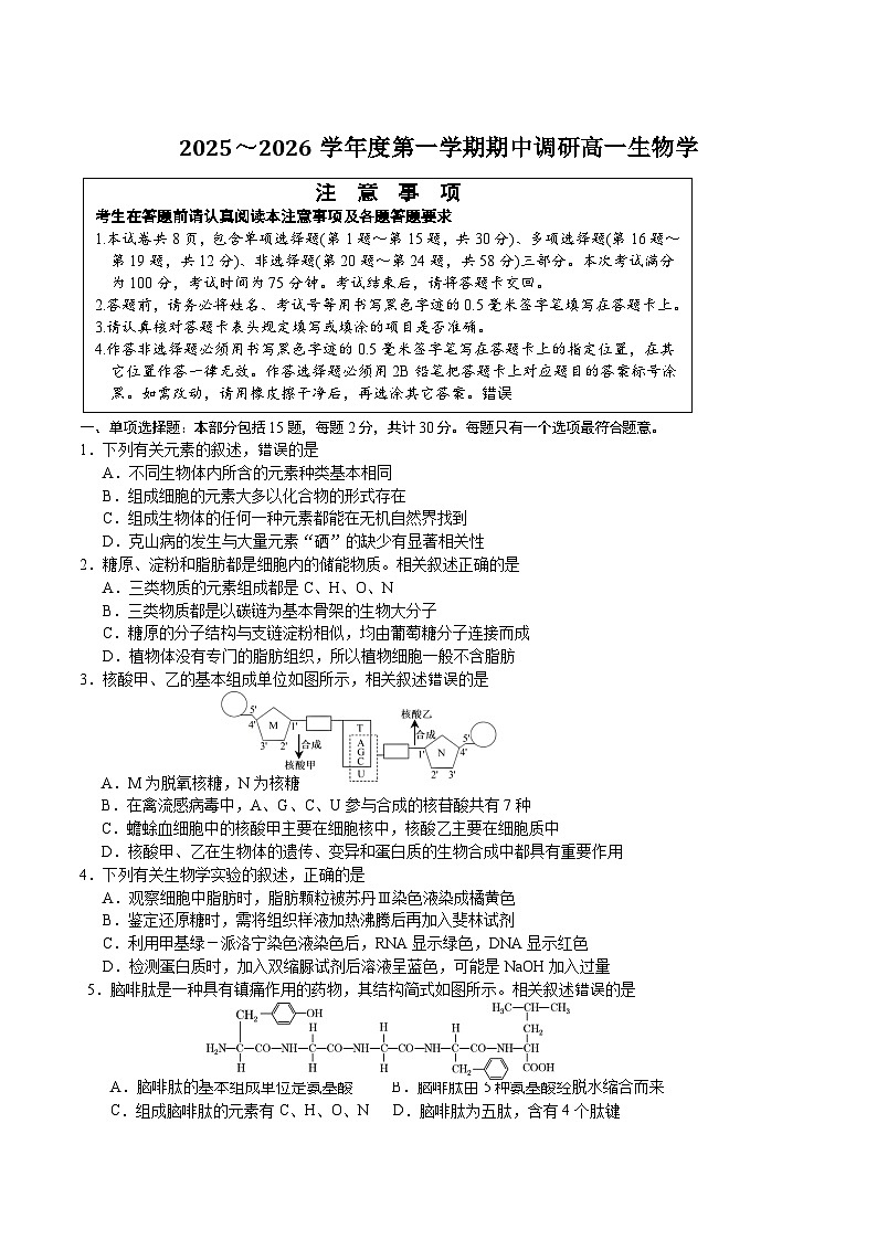 江苏省盐城市部分重点高中2025-2026学年高一上学期12月期中调研 生物试卷（含答案）第1页