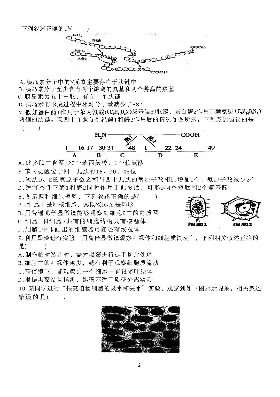 江苏省无锡市重点高中2025-2026学年高一上学期12月学情调研考试 生物试卷（无答案）第2页
