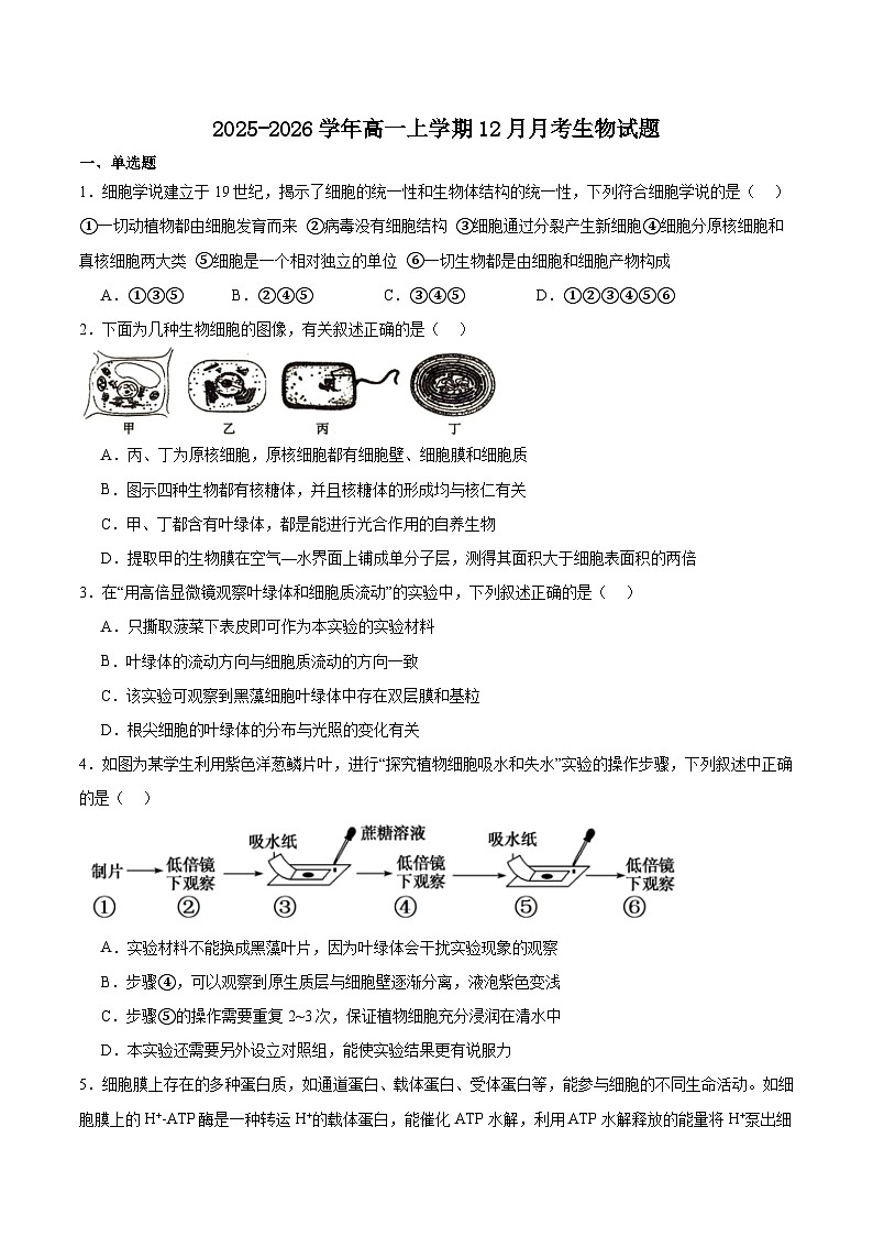 湖北省顶级名校2025-2026学年高一上学期12月月考试题 生物（含答案）第1页