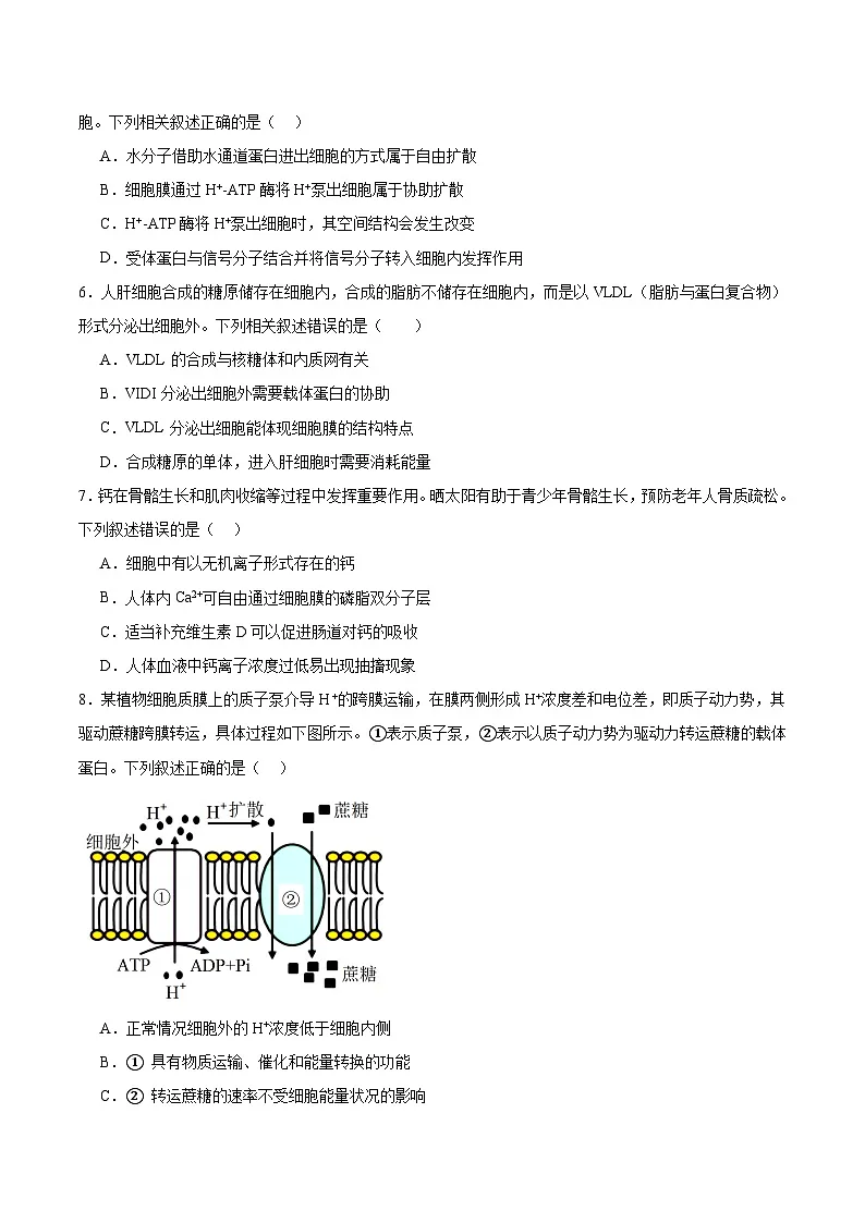 湖北省顶级名校2025-2026学年高一上学期12月月考试题 生物（含答案）第2页