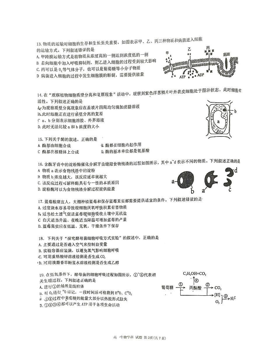 浙江省丽水市庆元中学2025-2026学年高一上学期12月教学质量监控生物试题第3页