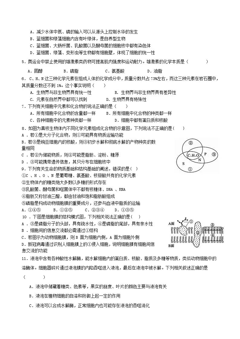 四川省成都市重点高中2025-2026学年高一上学期12月期中考试试题 生物（含答案）第2页