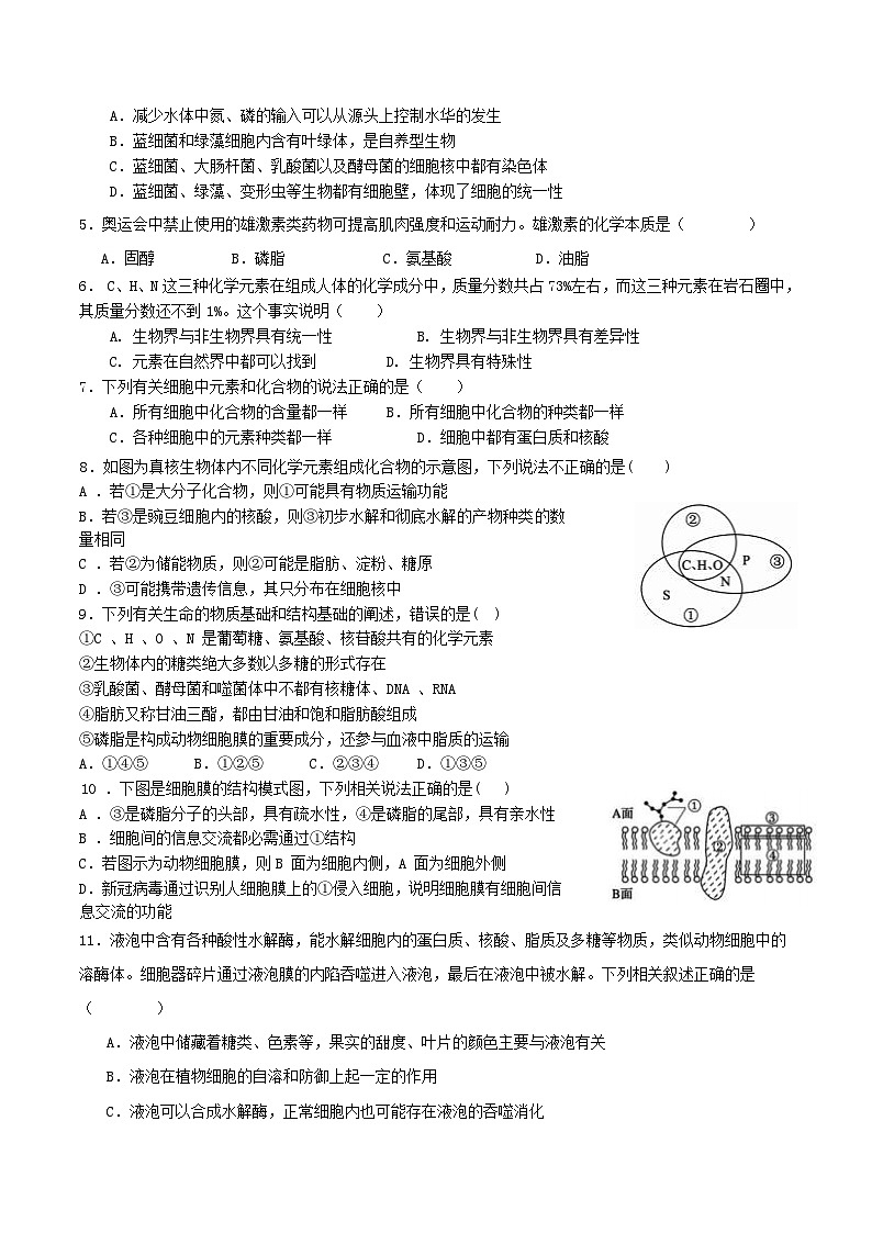 四川省成都市重点高中2025-2026学年高一上学期12月期中考试试题 生物（含答案）第2页