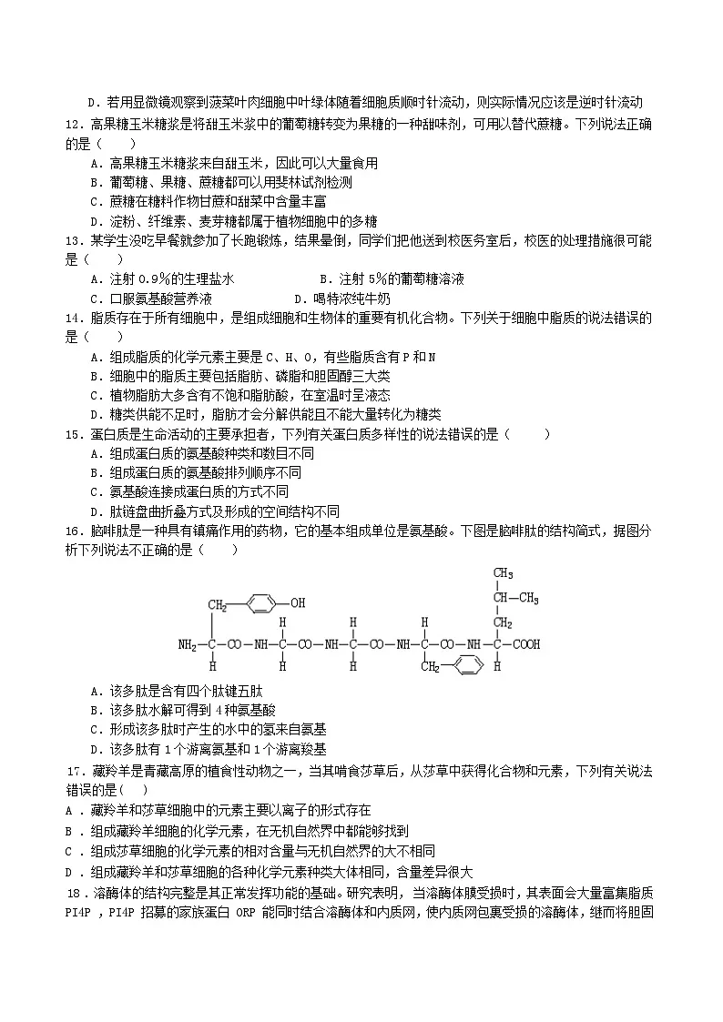 四川省成都市重点高中2025-2026学年高一上学期12月期中考试试题 生物（含答案）第3页