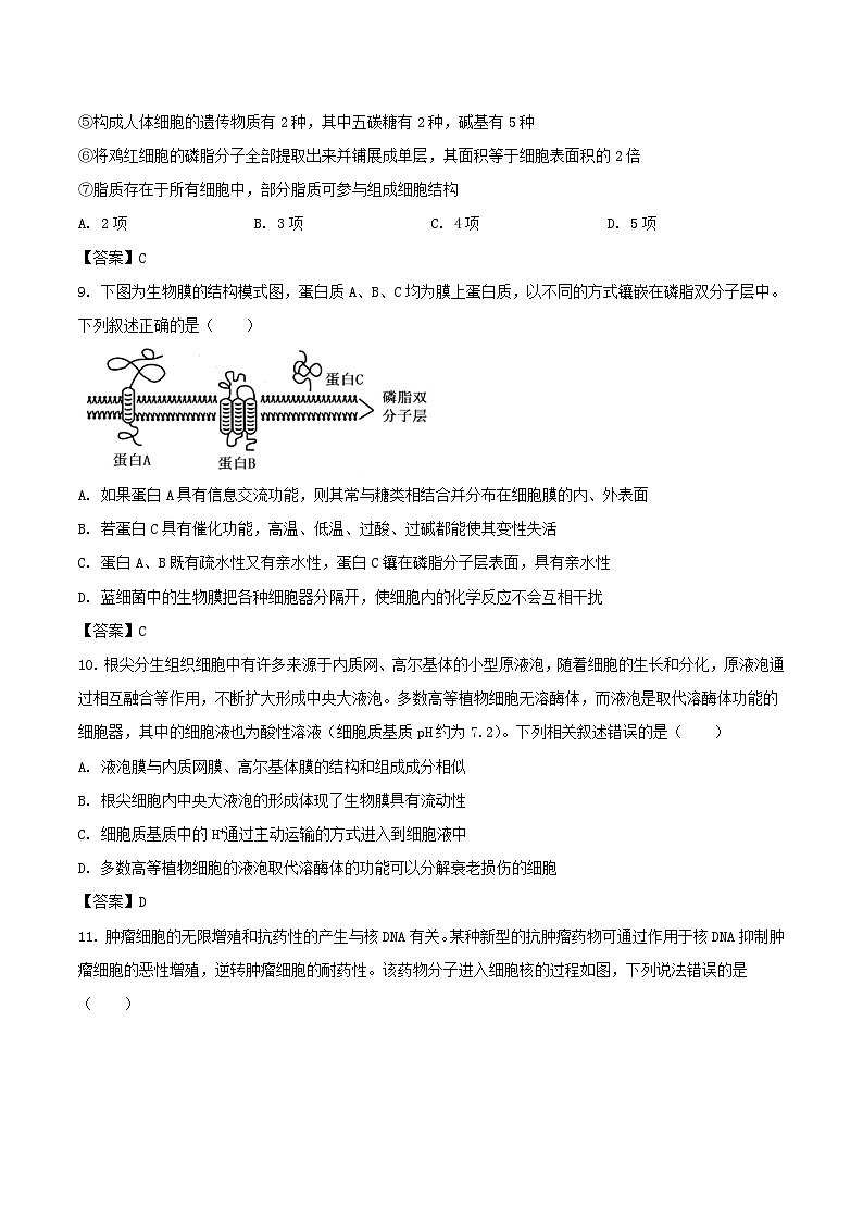 山东省德州市五校2025-2026学年高一上学期11月期中联考试题 生物(含答案）第3页