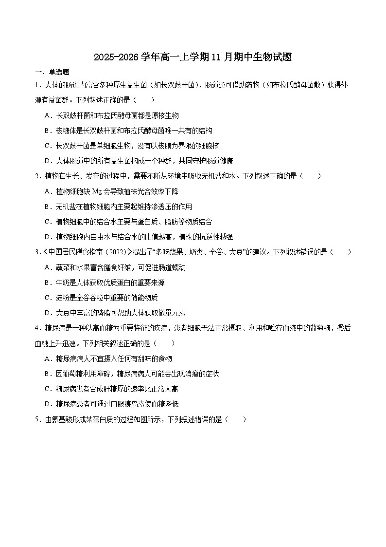 河北省五所名校2025-2026学年高一上学期11月期中联考试题 生物(含答案）第1页