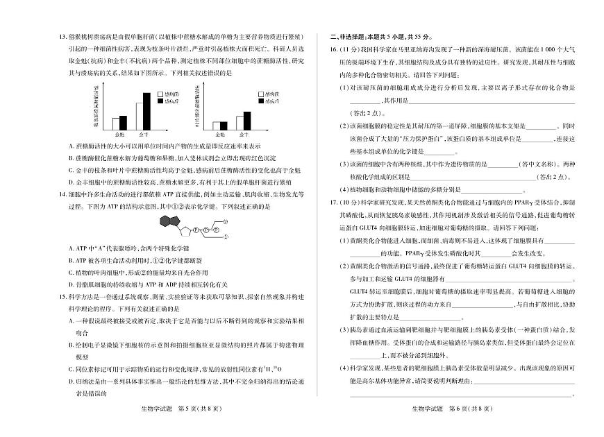 生物-安徽省(合肥六中)特色高中教研联谊会联考2025-2026学年高一上学期12月月考试题及答案第3页