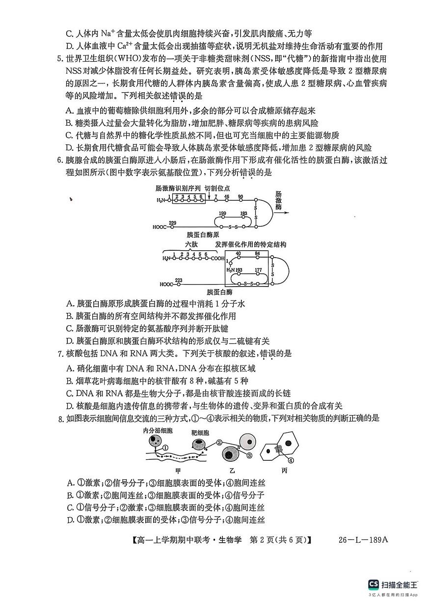 河南省开封市五校2025-2026学年高一上学期期中联考生物试卷（含答案）第2页