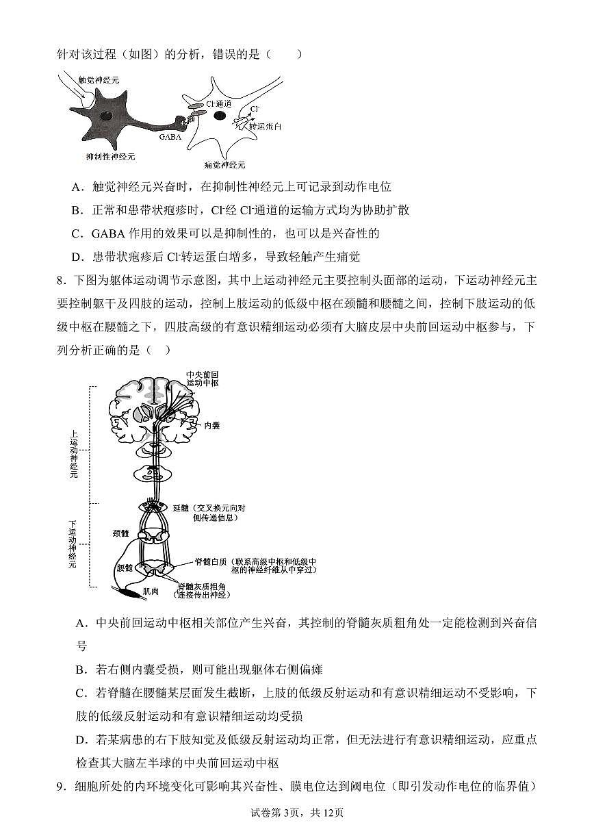 河南省实验中学2025-2026学年高二上学期期中考试生物试卷（含答案）第3页