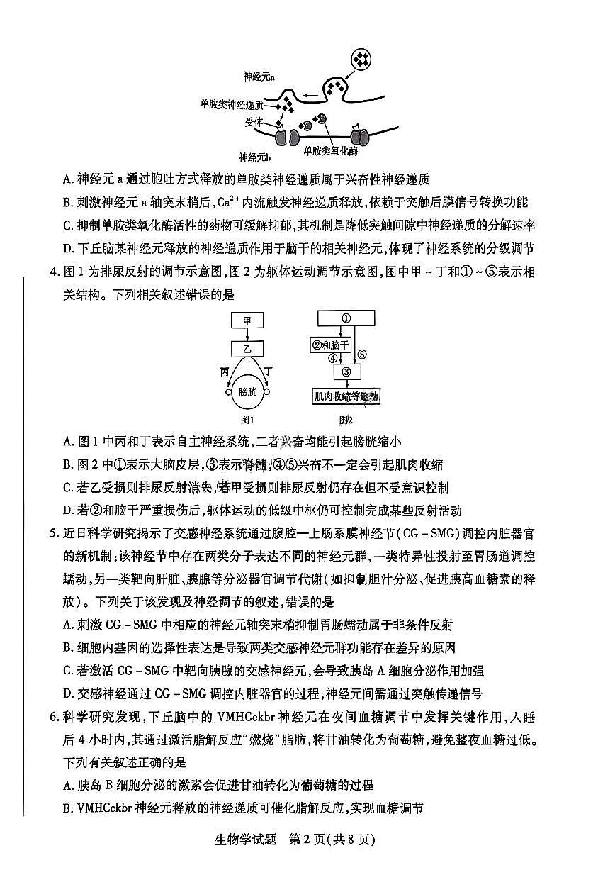 河南省天一大联考2025-2026学年高二上学期12月月考生物试题含答案第2页