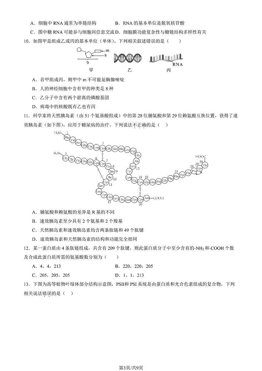 2025北京八十中高一上12月月考生物（B卷）试卷第3页