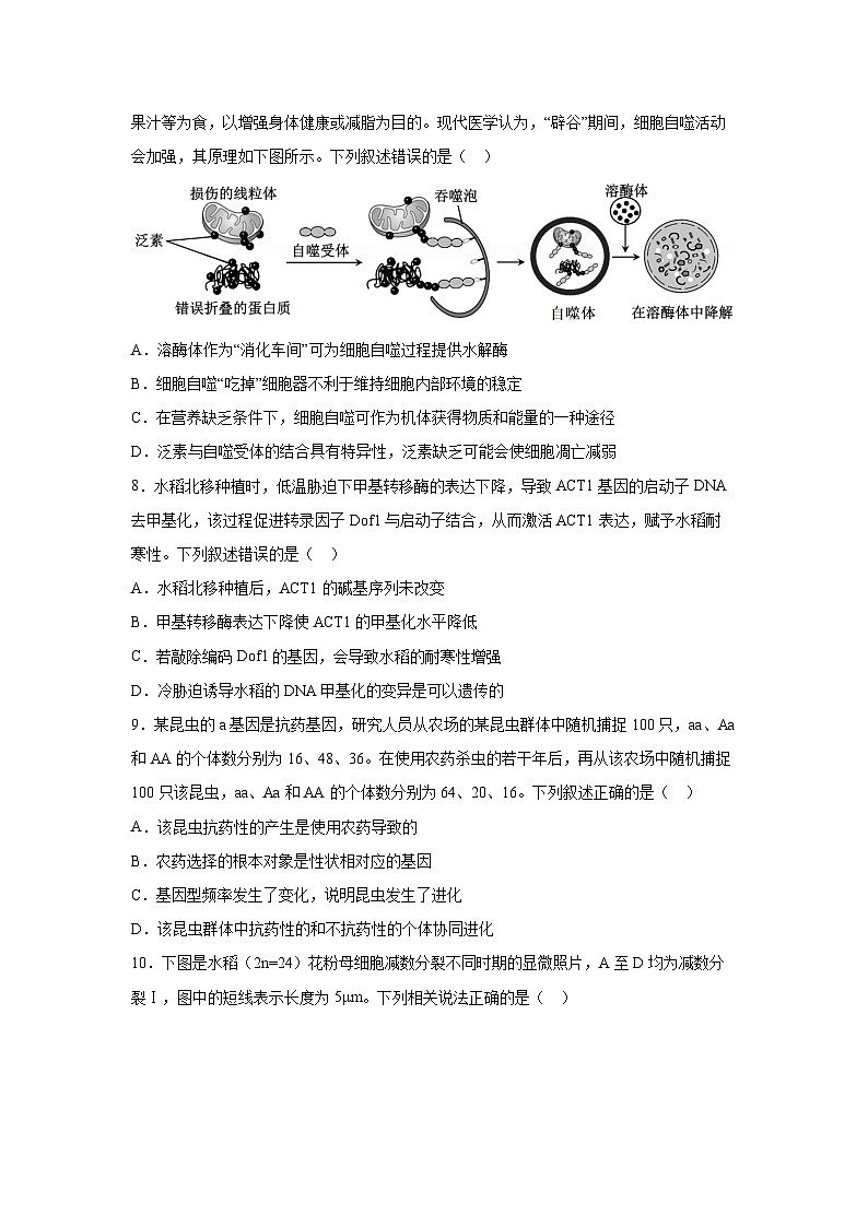 广东省2025-2026学年高三一模生物试卷（学生版）第3页