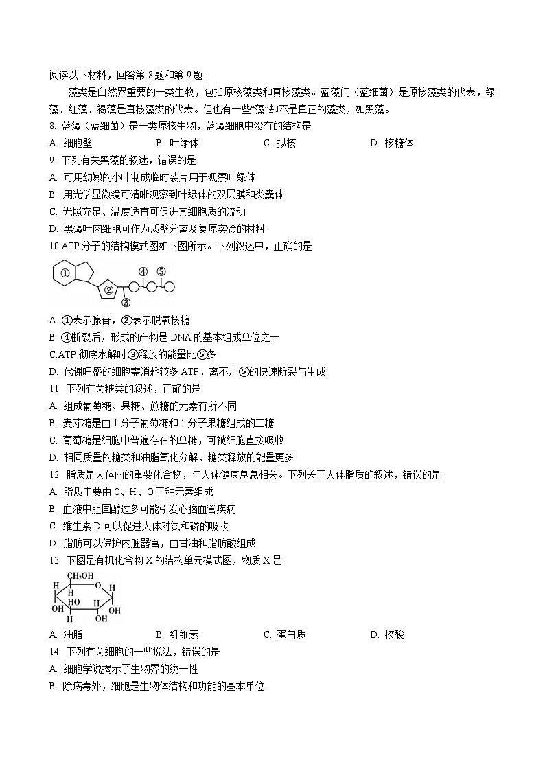 浙江省卓越高中联盟2025-2026学年高一上学期11月联考试题 生物(含答案）第2页