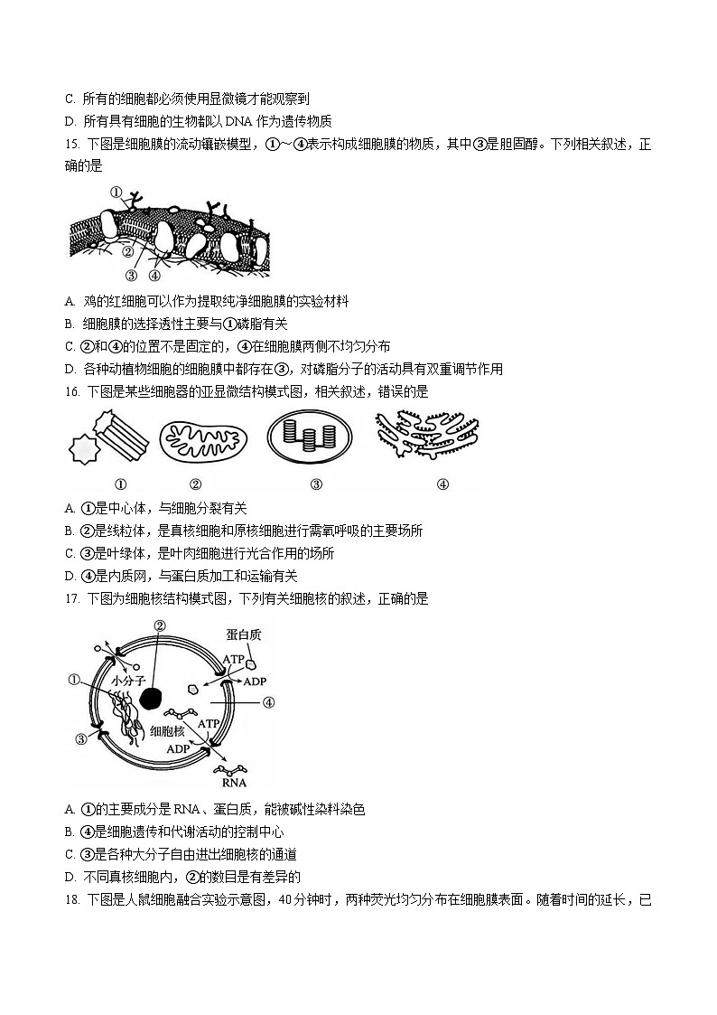 浙江省卓越高中联盟2025-2026学年高一上学期11月联考试题 生物(含答案）第3页