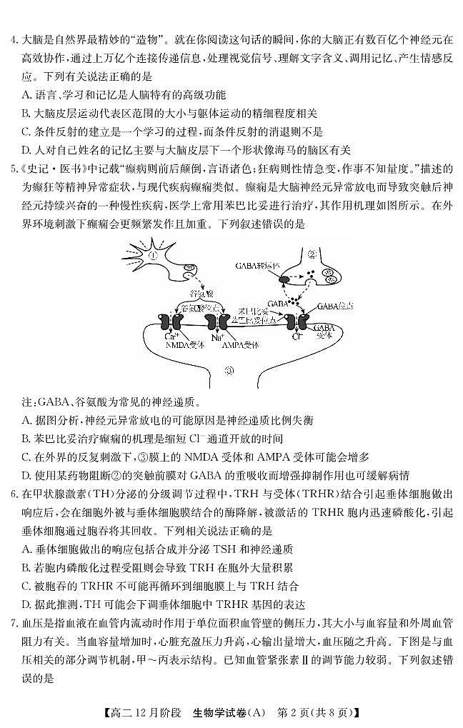 【生物】安徽省“江南十校”2025-2026学年高二12月阶段联考第2页