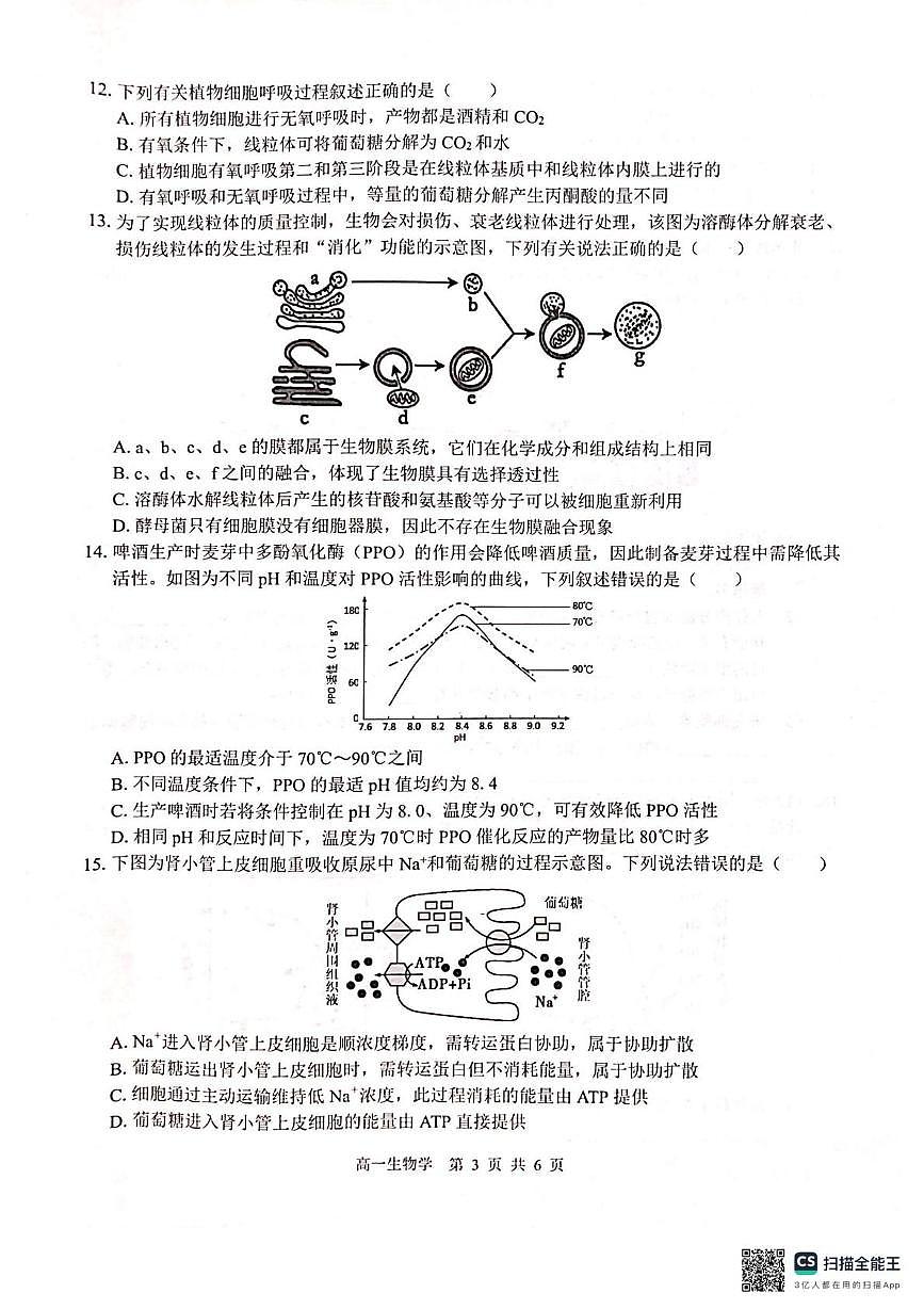 广西2025级“贵百河”12月高一年级新高考月考测试生物 广西2025级“贵百河”12月高一年级新高考月考测试生物第3页