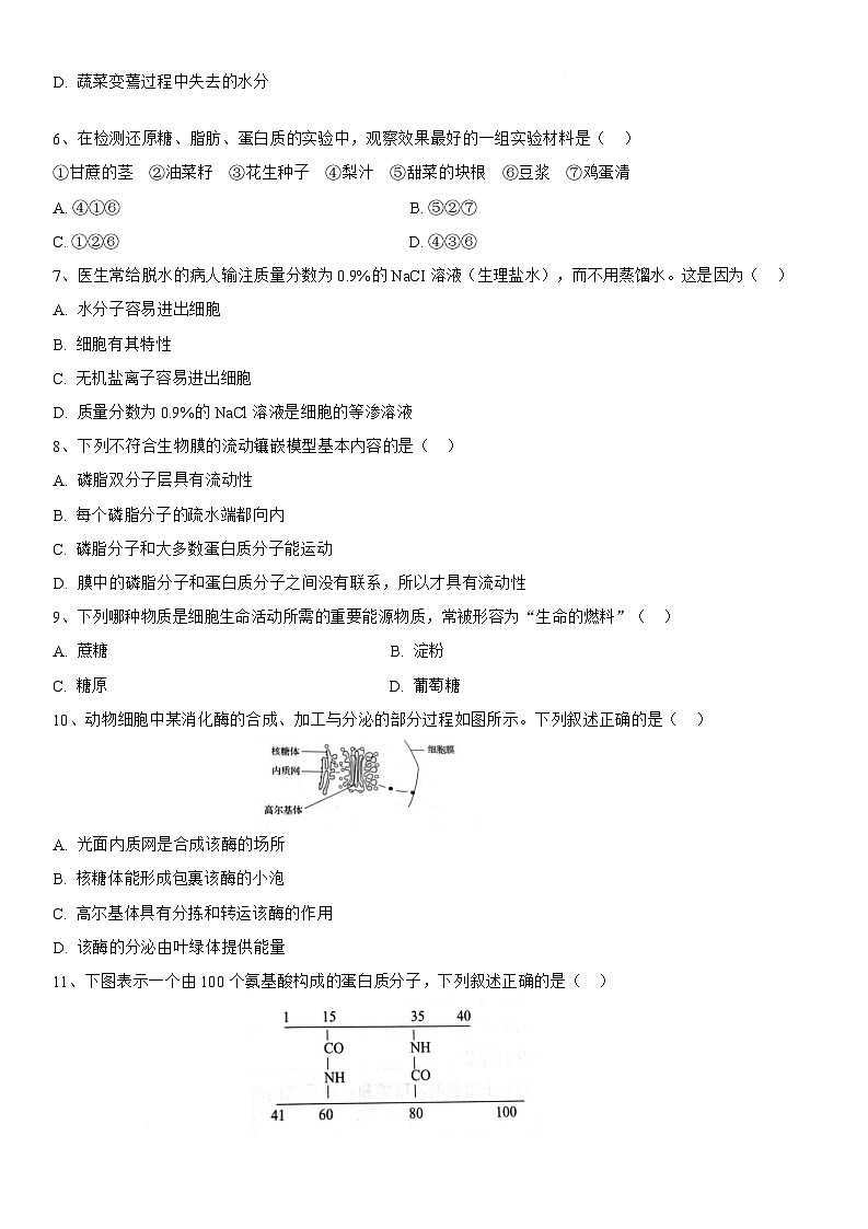 湖北省黄冈市黄梅县育才高级中学2025-2026学年高一上学期12月月考生物试题第2页