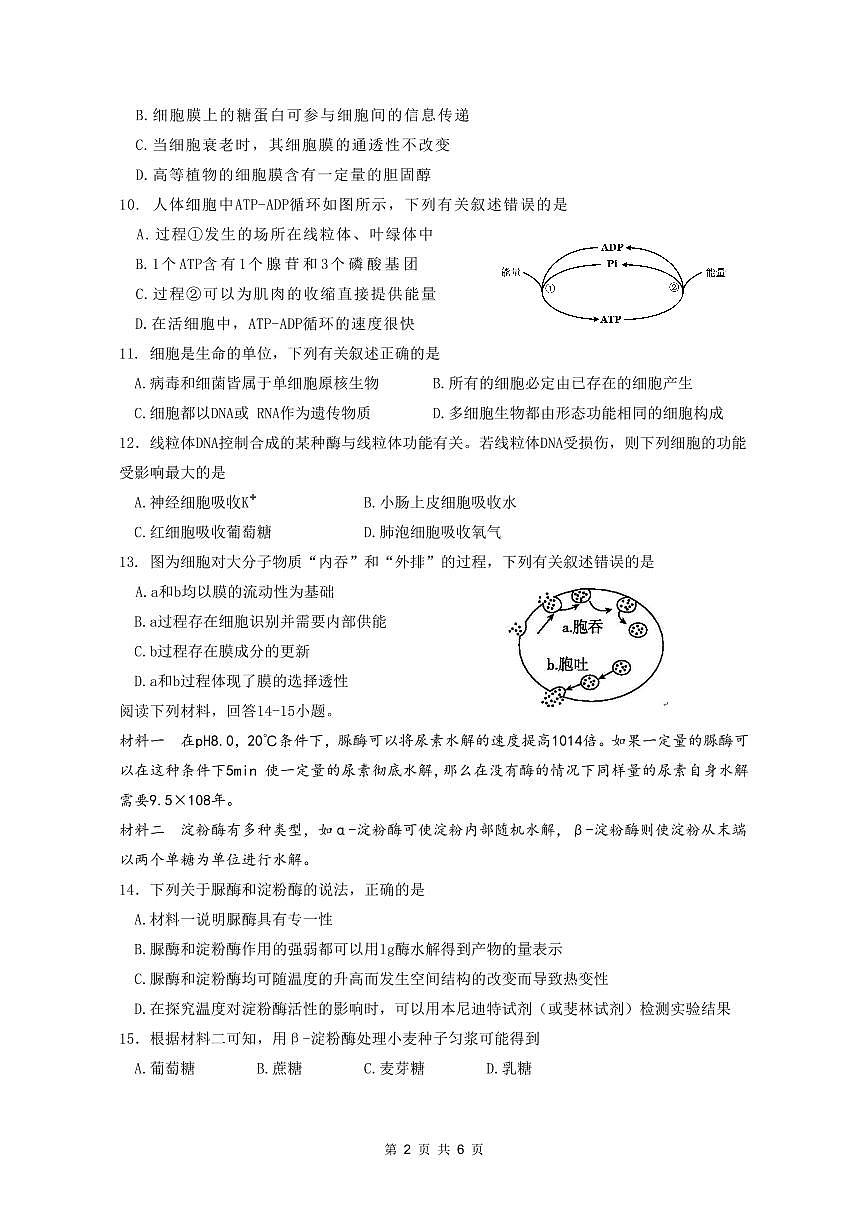 余姚中学2025学年第一学期12月质量检测高一生物试卷第2页