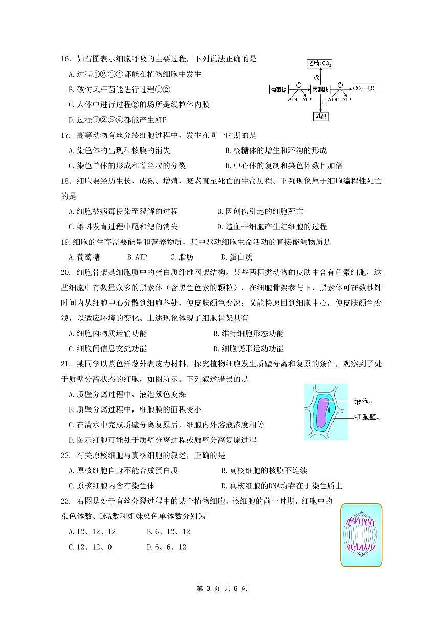 余姚中学2025学年第一学期12月质量检测高一生物试卷第3页