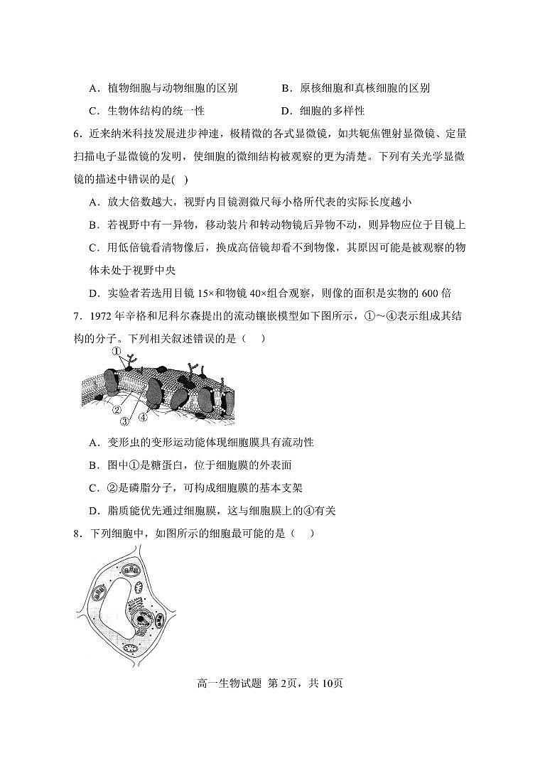 江苏省连云港市新浦中学等9校联考2025-2026学年高一上学期期中考试 生物 PDF版含答案第2页